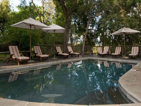Sabi Sabi Selati Lodge - Pool 